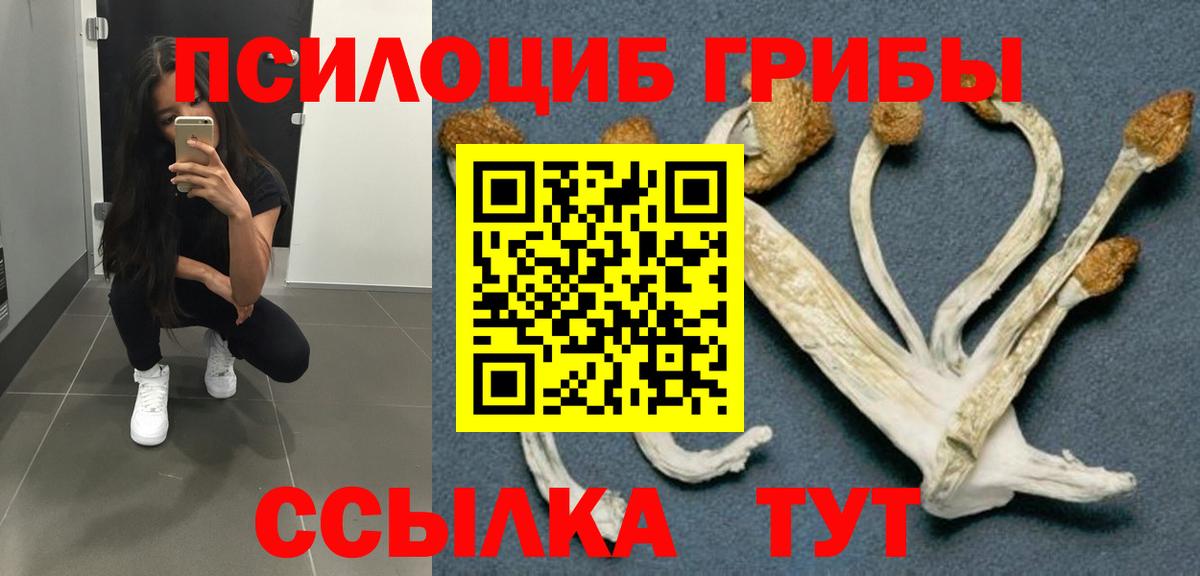 Псилоцибиновые грибы Cubensis Советский