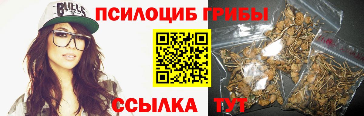 Советский  Псилоцибиновые грибы Psilocybe  Вход с VPN 